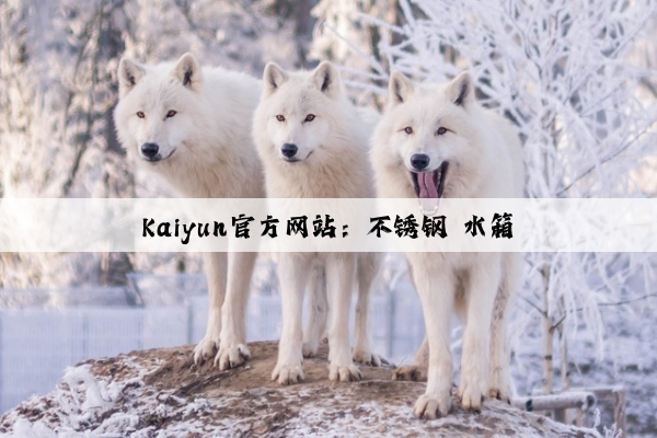 Kaiyun官方网站：不锈钢 水箱
