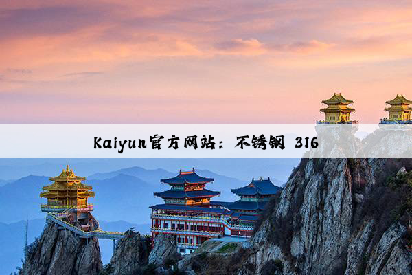 Kaiyun官方网站：不锈钢 316