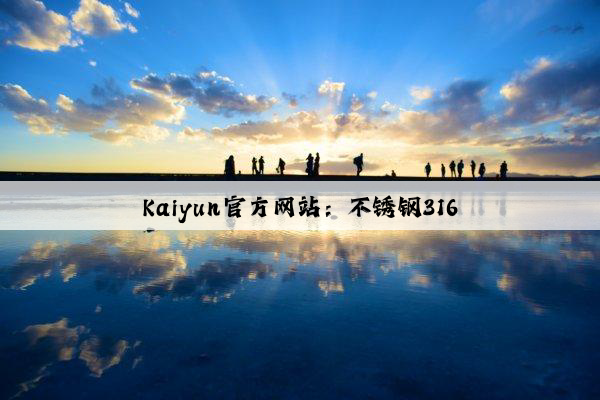 Kaiyun官方网站：不锈钢316