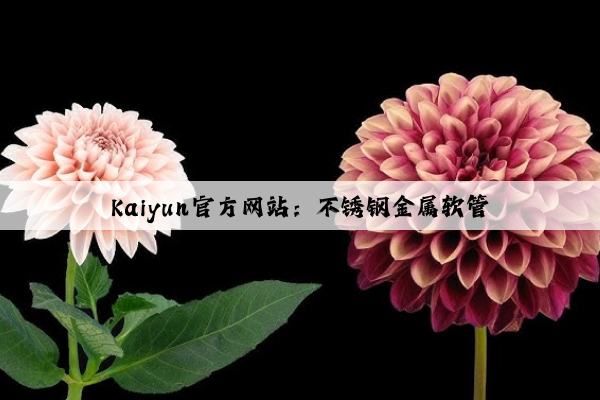 Kaiyun官方网站：不锈钢金属软管