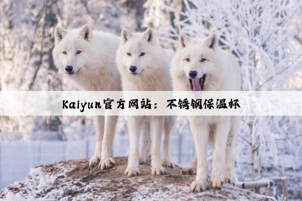Kaiyun官方网站：不锈钢保温杯